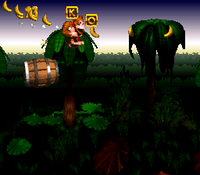 BarrelCannonCanyon-SNES-1.png
