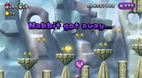 NSMBU Nabbit Chase Glitch.jpg
