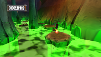 ZelRayman200-20.png