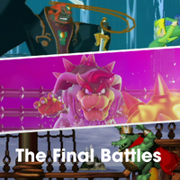 NM The Final Battles PL.png