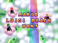 Rainbow Run Team End.png