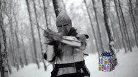 Shroom233 Birthday knight.jpg
