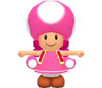 MKWToadetteModel.png