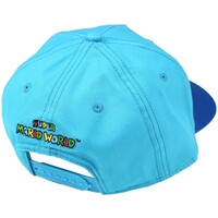 SMW-hat-back-35th-anniversary.jpg