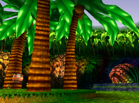 Jungle Japes 2nd part.png