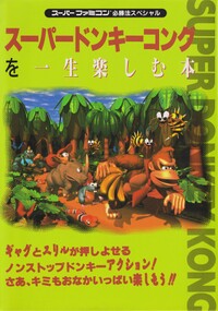 DKC Keibunsha guide.jpg
