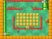 NM NSMB Bonus Area.png