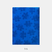 SM3DWBF Folder Blue.jpg