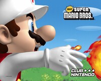 Fire Mario NSMB Clubnintendomx wallpaper.jpg