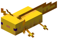 Minecraft Axolotl Gold.png