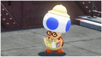SMO Snapshot Hint Toad.jpg
