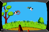 Duck Hunt WWT.png