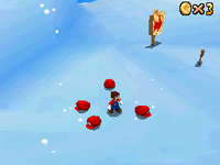 SM64DS SL Glitch2.png