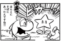Star Flower SMKun.png