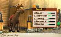 HorseSpeed-Female4.png