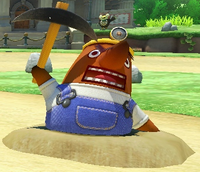 Mr ResettiMK8.png