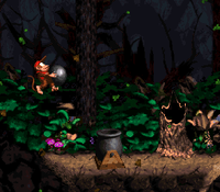 Gusty Glade DKC2 shot.png