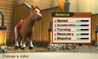 HorseBalance-Female4.png