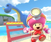 MKT Icon KoopaTroopaBeachTN64 ToadetteExplorer.png