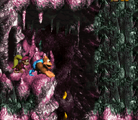 Pot Hole Panic DKC3 shot.png