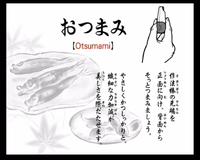 WWSM JP Otsumami.png