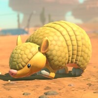 MKWorld Armadillo.jpg