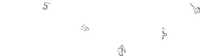 Turnip Rally Tracks.png
