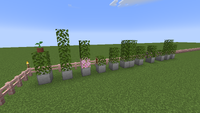 BuildingTheShroomHQ-CourtyardTopiaries.png