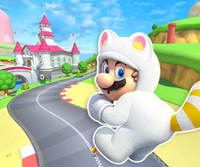 MKT Icon MarioCircuitRDS WhiteTanookiMario.png