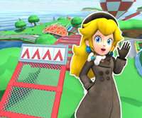 MKT Icon YoshiCircuitTGCN PeachWintertime.png