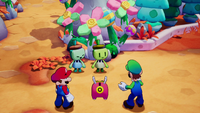 NM M&LB Exciting.png