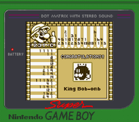 Picross 231-C Name.png