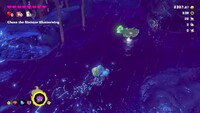DKB Sunk in the Pool.jpg