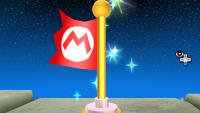 SMG2 Activated Checkpoint Flag.png