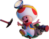 TSMGM Toad artwork 1.png