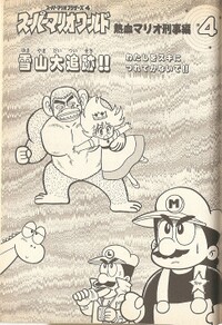 Chapter 4 SMW6.jpg