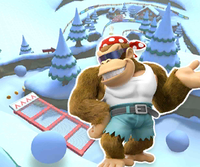 MKT Icon DKPassTDS FunkyKong.png