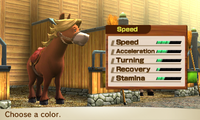 HorseSpeed-Female3.png