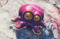 Pink Peekaboopoid.png