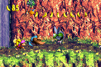Barrel Drop Bounce GBA Parry.png