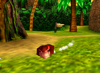 DK64BarrelRoll.png