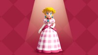 PPS Checkered Dress.jpg