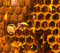 Parrot Chute Panic DK Coin.png