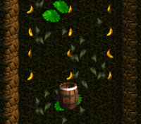 BarrelCannonCanyon-Bonus2.png
