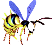 King Zing.png
