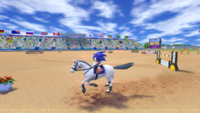 MASATLOG Equestrian Sonic.png
