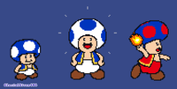 Nakauestyletoad.png