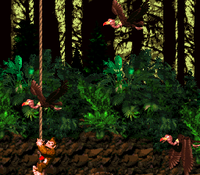 Forest Frenzy 5.png