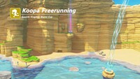 KoopaFreerun-Seaside.jpg