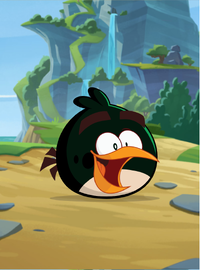 Salmancer Personal 2.png
